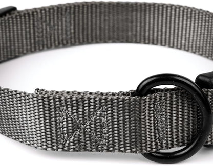 Country Brook Petz - Everyday Nylon Dog Collar and Leash - 10+ Cool Colors (1 Inch, Extra Large, Charcoal)