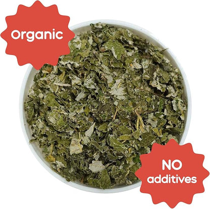 GuineaDad Organic Guinea Pig Herbal Treats - Guinea Pig Food with Convenient Packaging - Raspberry Leaf Flavor - 16 fl. oz - Guinea Pig Treats Help with Bonding - High in Nutrition and Fiber - Large