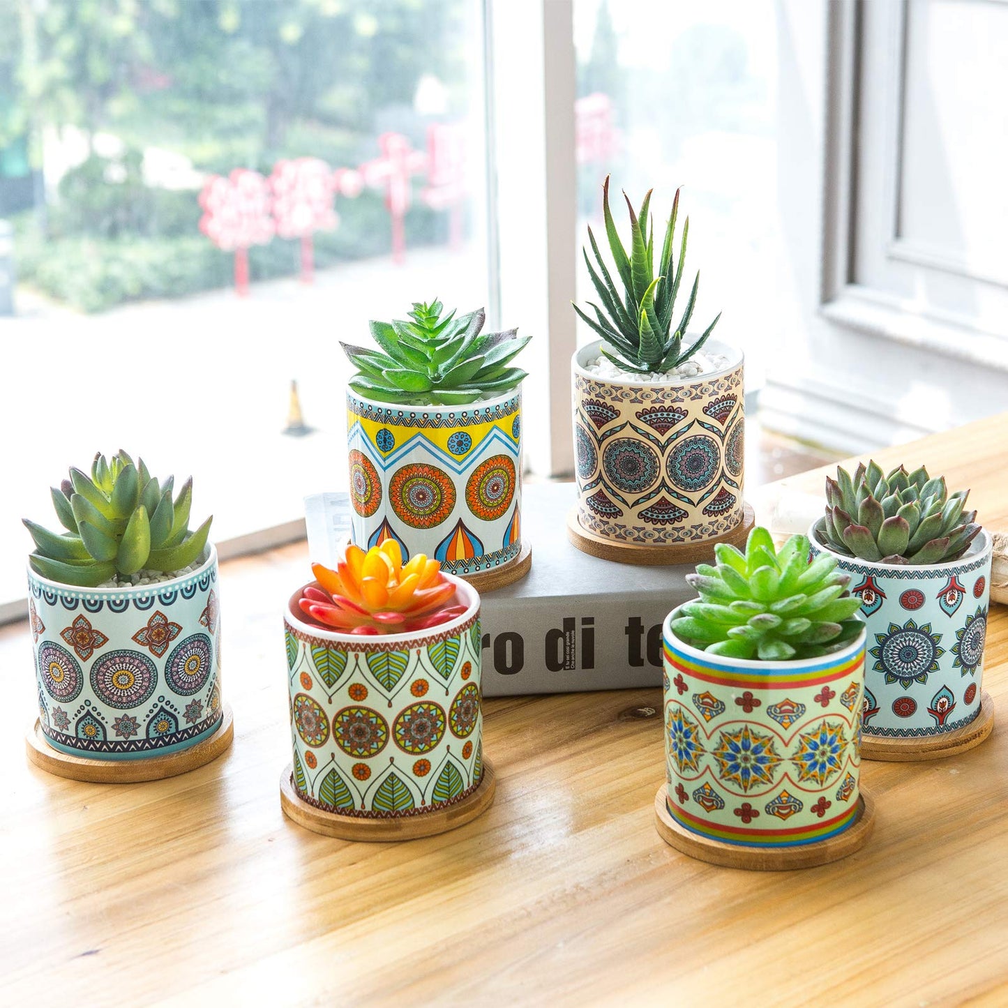 COLOAPT Succulent Plant Pots - 3.1 inch Ceramic Succulent Planter -Cylinder Flower Pots for Cactus with Drainage Hole and Bamboo Tray,6 Pack,Plants not Included