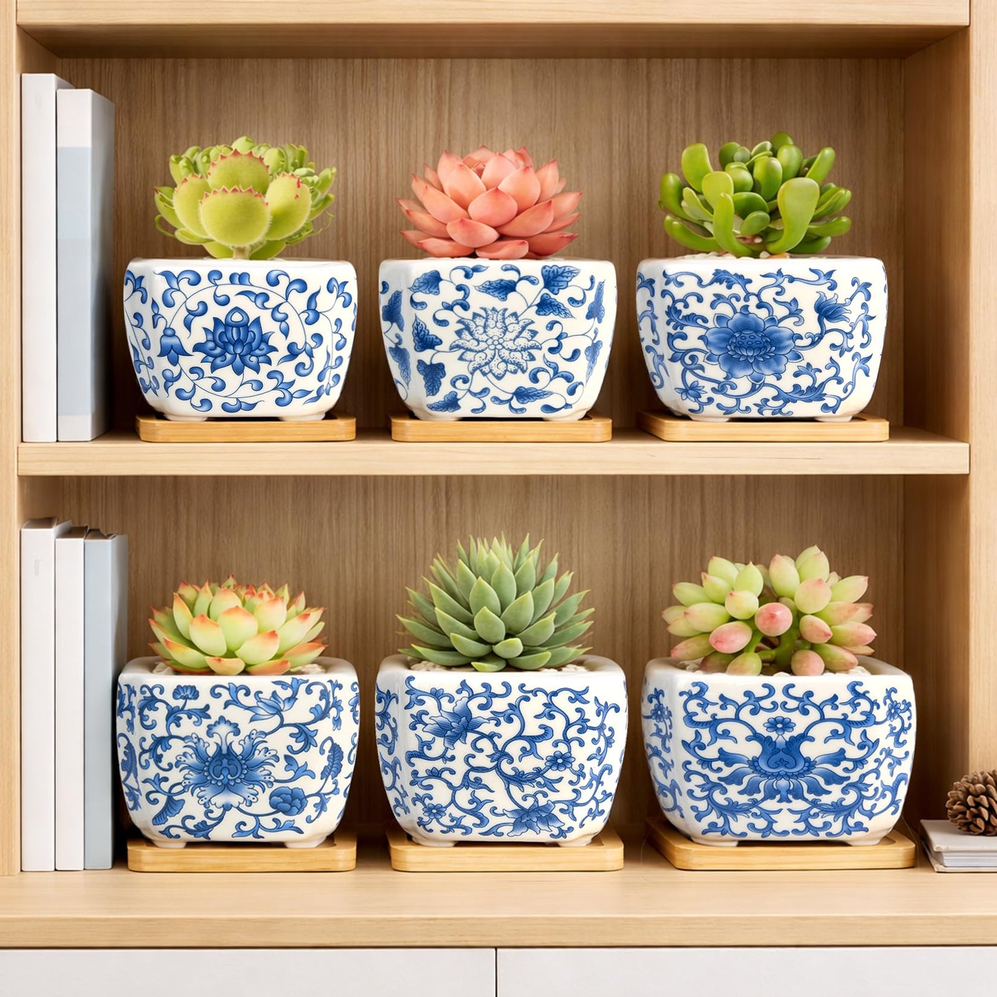 Succulent Pots - 3.1" Succulent Planters with Drainage and Bamboo Trays, Ceramic Flower Pots for Indoor Plants, Small Succulent Pots for Cactus, Home Office Desk Decor, Set of 6
