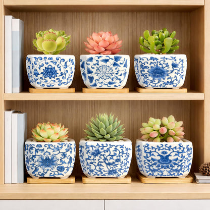 celamos Succulent Pots 6 Pack, Small Flower Pots with Drainage Bamboo Tray, Succulent Pots for Indoor Plants, Cactus Pots and Planters, Decorative Small Pots for Home Office