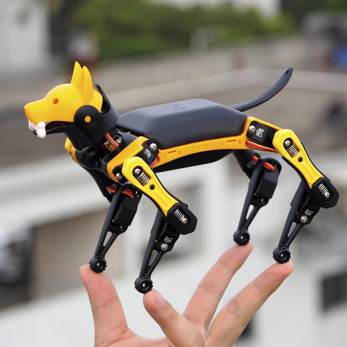 Petoi Programmable Robot Dog Bittle X V2 Lite Servo (Construction) | Coding Smart Robot Dog Kit, Voice Controlled, Quadruped Interactive Robot for Kids, Open Source, STEM & Robotics Education