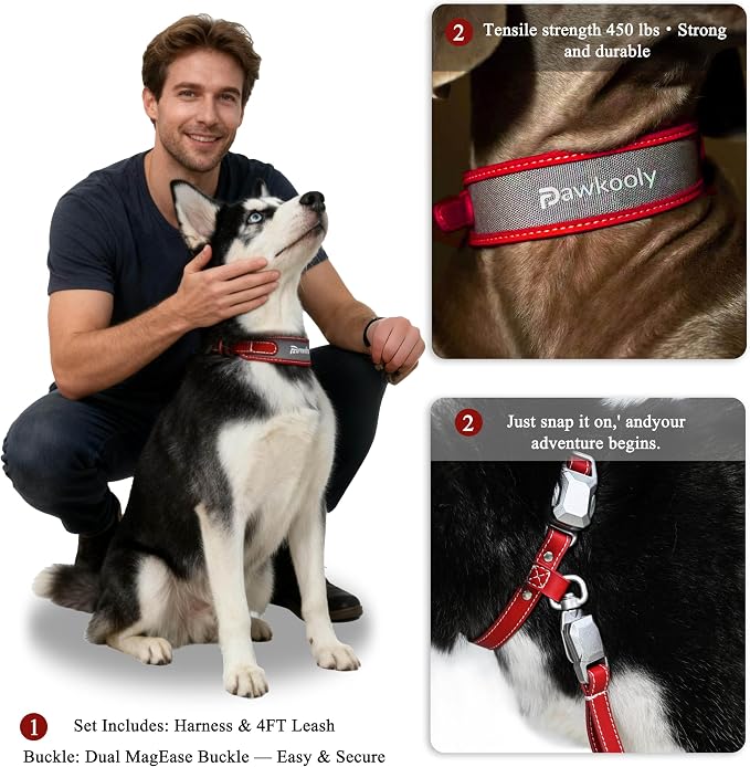MagEase Dog Collar with 4FT Leash | Adjustable | Anti-Wrinkle, Bite & Stain-Resistant Leather | Soft & Skin-Friendly | 450LB Escape-Proof Magnetic Buckle (Red, Extra Large)