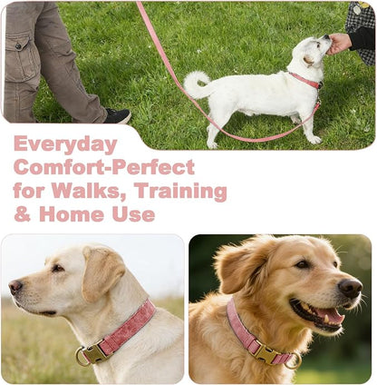 Genuine Leather Dog Collar - Adjustable Pet Collar with Quick Release Metal Buckle, Soft Skin Friendly Real Leather Collar for Small, Medium, Large Dogs (Pink Collar + Rope, M：Fit 12-20" Neck)