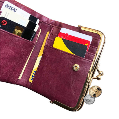 Plinvo Small Bifold Genuine Leather Wallet for Women Vintage Mini Coin Purse with Zipper and Kiss Lock (Grey1)
