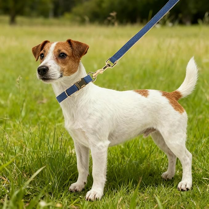 Soft Dog Collar and Leash Set Adjustable Woven Tweed Dog Collars with Metal Buckle and Lead for Small Medium Large Dogs,Royal Blue