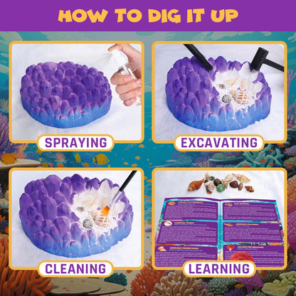 PIBEX Ocean Fossil Dig Kit, Dig up 20+ Real Shells & Seasnails, STEM Educational Activity Set Sea Creatures Excavation Toy for Kids, Marine Biology Geology Science Kit, Gift for Boys and Girls Age 6+