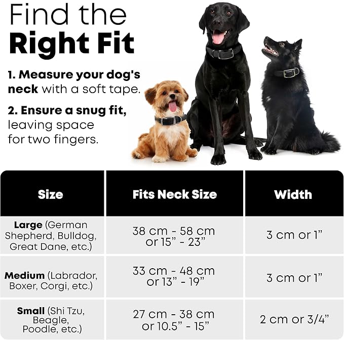 Regal Dog Products Medium Black Waterproof Dog Collar and Leash Set | Heavy Duty Double Buckle & D Ring - 5'ft Leash | Adjustable Biothane Dog Collar | Chew Resistant Waterproof Collar for Dogs