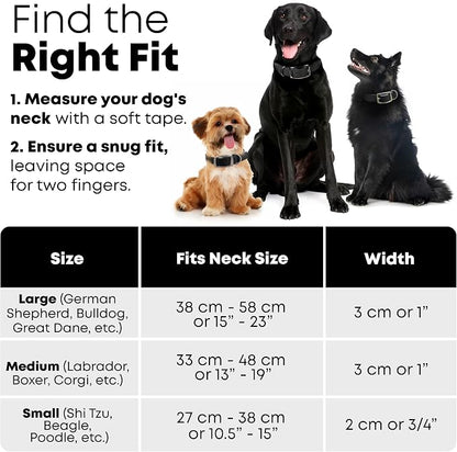 Regal Dog Products Large Black Waterproof Dog Collar and Leash Set | Heavy Duty Double Buckle & D Ring - 5'ft Leash | Adjustable Biothane Dog Collar | Chew Resistant Waterproof Collar for Dogs