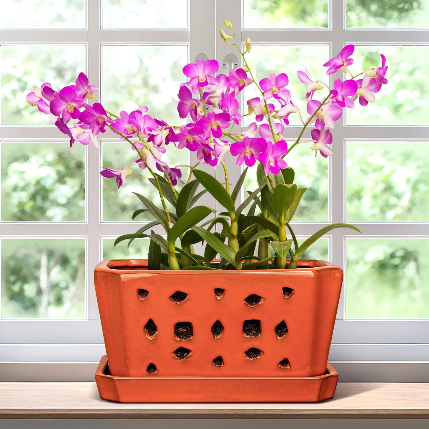 Teenyyou 1 Set Orchid Pot with Holes 9.5 Inch Ceramic Orchid Pot with Saucers for Repotting Amaryllis Flower Planter Include Gardening Shovel Set and Gloves for Home Decor(Terracotta)