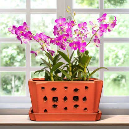 Teenyyou 1 Set Orchid Pot with Holes 9.5 Inch Ceramic Orchid Pot with Saucers for Repotting Amaryllis Flower Planter Include Gardening Shovel Set and Gloves for Home Decor(Terracotta)