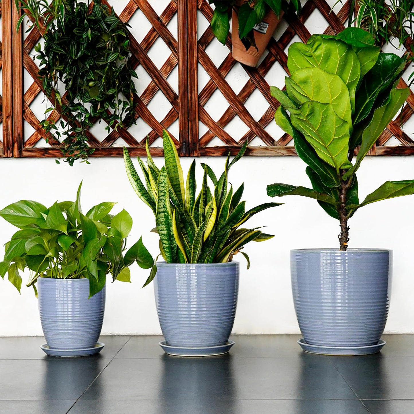 EEPFamily 8 Inch Plant Pot- Ceramic Planter for Indoor Outdoor with Drainage Hole and Plant Tray, Modern Round Porch Home Office Garden Living Room Decor, House Warming Gifts, Blue-Purple