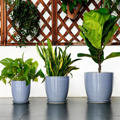 EEPFamily 8 Inch Plant Pot- Ceramic Planter for Indoor Outdoor with Drainage Hole and Plant Tray, Modern Round Porch Home Office Garden Living Room Decor, House Warming Gifts, Blue-Purple