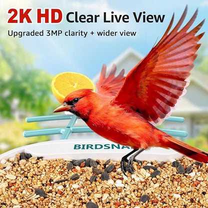 birdsnap® TUC Bird Feeder with Camera 2K HD Live with 32GB Card Auto Detect & Notify AI Identify Camera Birds Feeders Solar Powered Wireless Outdoors Backyard Gift for Mom Dad Birds Lover, 2.4G WiFi
