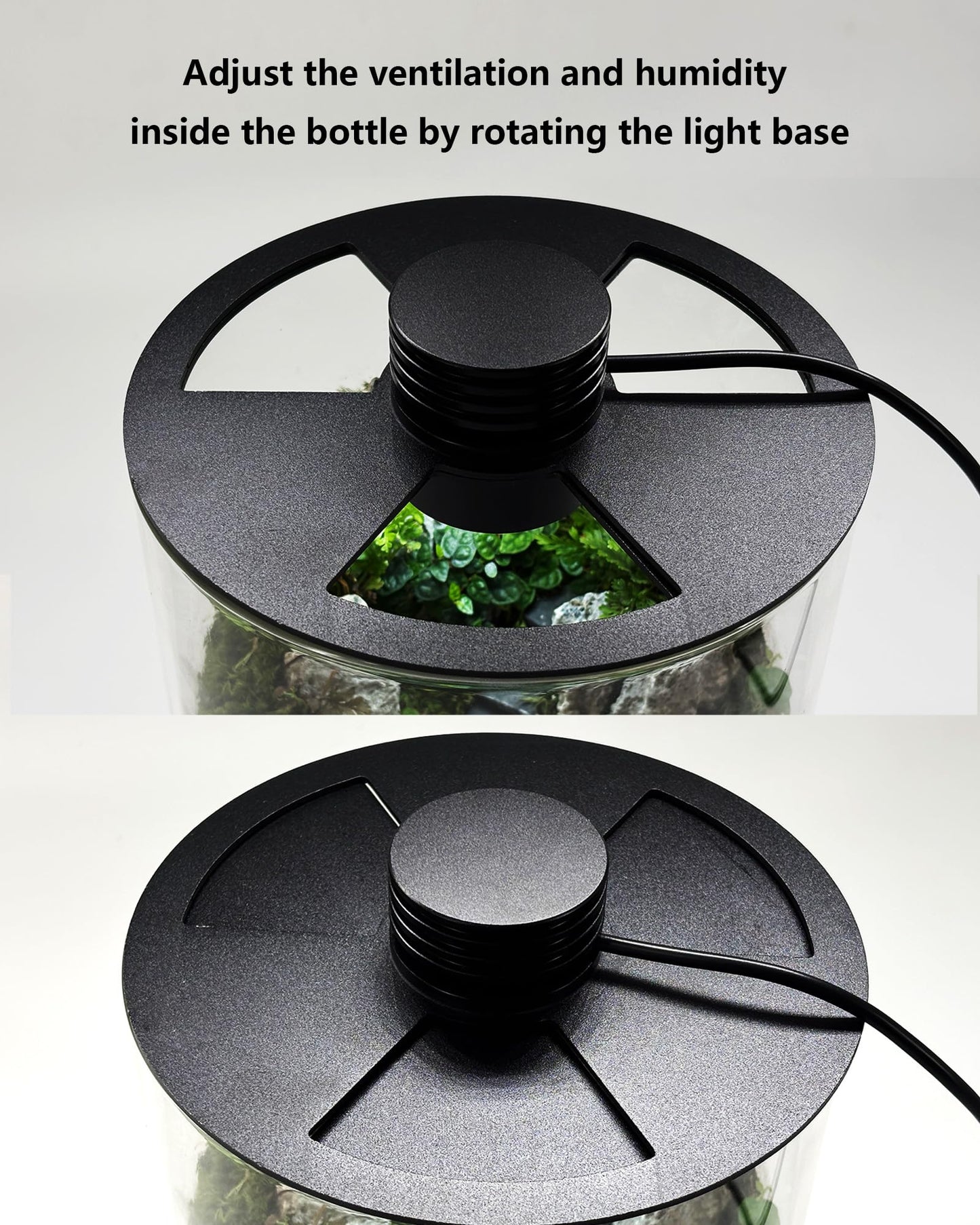 Desktop Glass Terrarium with Grow Light (9.8" H x 5.9" D) - for Succulents, Moss, Mini Gardens, Betta Fish Tanks, Mushroom Cultivation | Indoor Plant Growth | Office/Home Decor | Plant Lover Gifts
