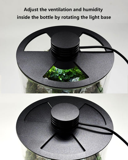 Desktop Glass Terrarium with Grow Light (9.8" H x 5.9" D) - for Succulents, Moss, Mini Gardens, Betta Fish Tanks, Mushroom Cultivation | Indoor Plant Growth | Office/Home Decor | Plant Lover Gifts