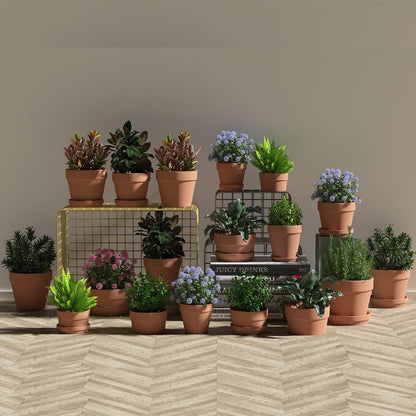 Fcacti 5.5 Inch Clay Pot for Plant with Saucer - 6 Pack Large Terra Cotta Plant Pot with Drainage Hole, Flower Pot with Tray, Terracotta Pot for Indoor Outdoor Plant