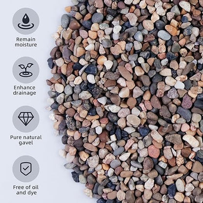5lb Mixed Color Silica Gravel Pebbles, 1/5 inch Decorative Stones for Succulents, Pebbles for Vases,Plants Rocks, Aquarium Sand, Top Dressing, Outdoor Decorative Rocks