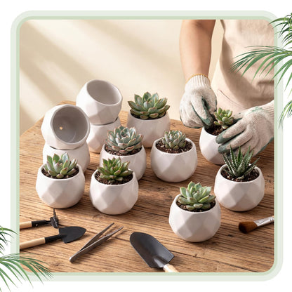 Acellegic 24 Pack 2.5 Inch Mini Succulent Plant Ceramic Pot with Drainage Hole, Small Pineapple Clay Garden Planter for Succulents, Cactus, DIY Easter Spring Craft Activity(White,Fashion)
