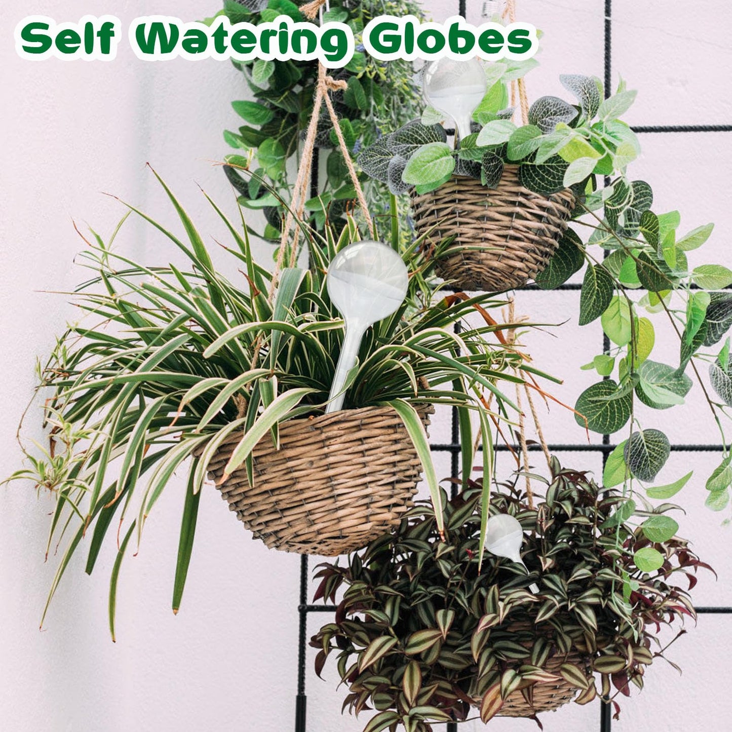 Pynqdfu 20 PCS Clear Plant Watering Globes,Plastic Self-Watering Bulbs,Self Watering Planter Insert Plant Accessories for Plants Indoor,Outdoor,Flowerpot,Home Garden(Large,Medium,Small)