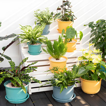 Hayder 6 Inch Plant Pots, 6 Pack Thick Plastic Flower Pots for Plants Indoor Outdoor, Planters with Drainage Holes and Saucers, Mix Color