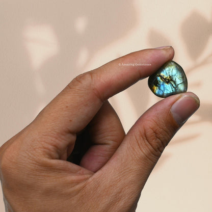 Amazing Gemstone Labradorite Crystals and Healing Stones Tumbled - 1 oz Labradorite Stone Gem Stones, Natural Healing Stones for Energy Balance, Stress Relief - Premium Polished Gems Rocks