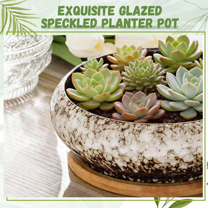 Acellegic 5 Pcs 7.3'' and 4'' Round Large Shallow Succulent Ceramic Planter Pots with Drainage Hole Drip Glazed Shallow Bonsai Pot with Bamboo Tray for Indoor Outdoor Plants Decor Cactus Flower