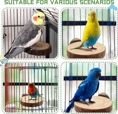 6 PCS Natural Wood Bird Perches Stand for Cage,Bird Perches for Bird Cages,Bird Cage Perch with Bolt and Wing Nut,Parrot Perch for Budgies Cockatiels Parakeets Conures