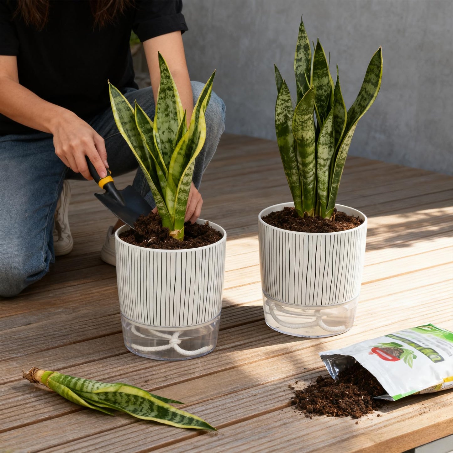 CWYEYE 6 Pack Self Watering Pots for Indoor Plants, Flower Planters with Wick Rope & Reservoir, 4" + 5.5" Plastic Pots for African Violet, Orchid, Succulent, Herbs