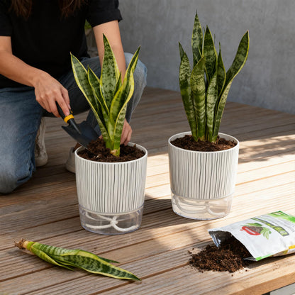 CWYEYE 6 Pack Self Watering Pots for Indoor Plants, Flower Planters with Wick Rope & Reservoir, 4" + 5.5" Plastic Pots for African Violet, Orchid, Succulent, Herbs