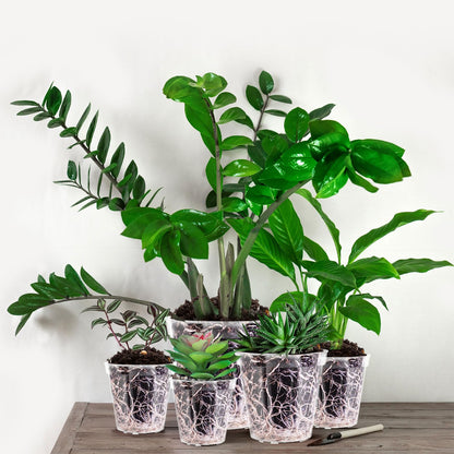 Vesici 6 Pcs 4/5/6/7/8/9 Inch Large Thickened Clear Nursery Pots Variety Pack Plant Pots with Drainage Holes Planters for Indoor Plants Flexible Transparent Plastic Plant Bottle Succulents