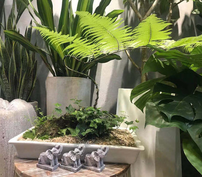 dgudgu Pot Feet for Outdoor & Indoor Planters - Elephant Shaped Planter Risers Improve Airflow & Drainage