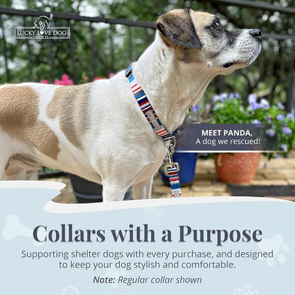 Lucky Love Dog - Adjustable Dog Collar with Easy Click Buckle for Medium, Durable, & Comfortable for Male & Female Dogs, Pet Collar for Puppies & Adult Dogs - Linus Martingale, Medium