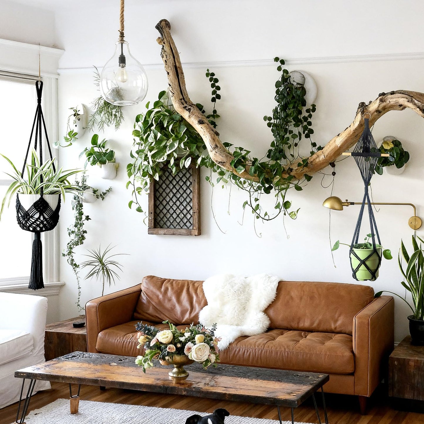 XINBOR 4 Pack Macrame Plant Hangers Indoor Up to 10 inch Pot, Boho Hanging Planters, Plant Holder with 8Pcs Stainless Steel Hooks(4Pcs Black Hanger)