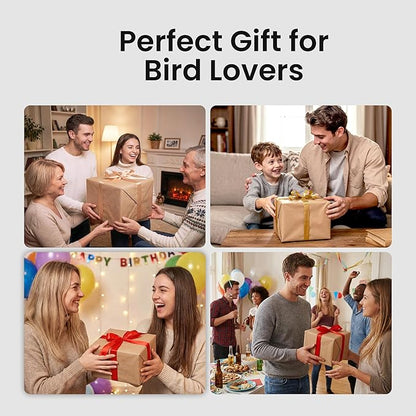 Smart Bird Feeder with Camera, 3K HD Live Stream, AI Species Identification, Solar Powered, Instant Motion Alerts, IP65 Weatherproof Outdoor Gifts for Bird Lovers, Green