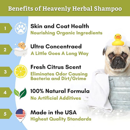 Wholistic Pet Organics Pet Shampoo Concentrate: USDA Organic Cat and Dog Shampoo for Sensitive Skin and Coat Support - Mild and Non-Irritating, Natural, Non-Toxic, Sulfate-Free, & Cruelty-Free - 2 Oz