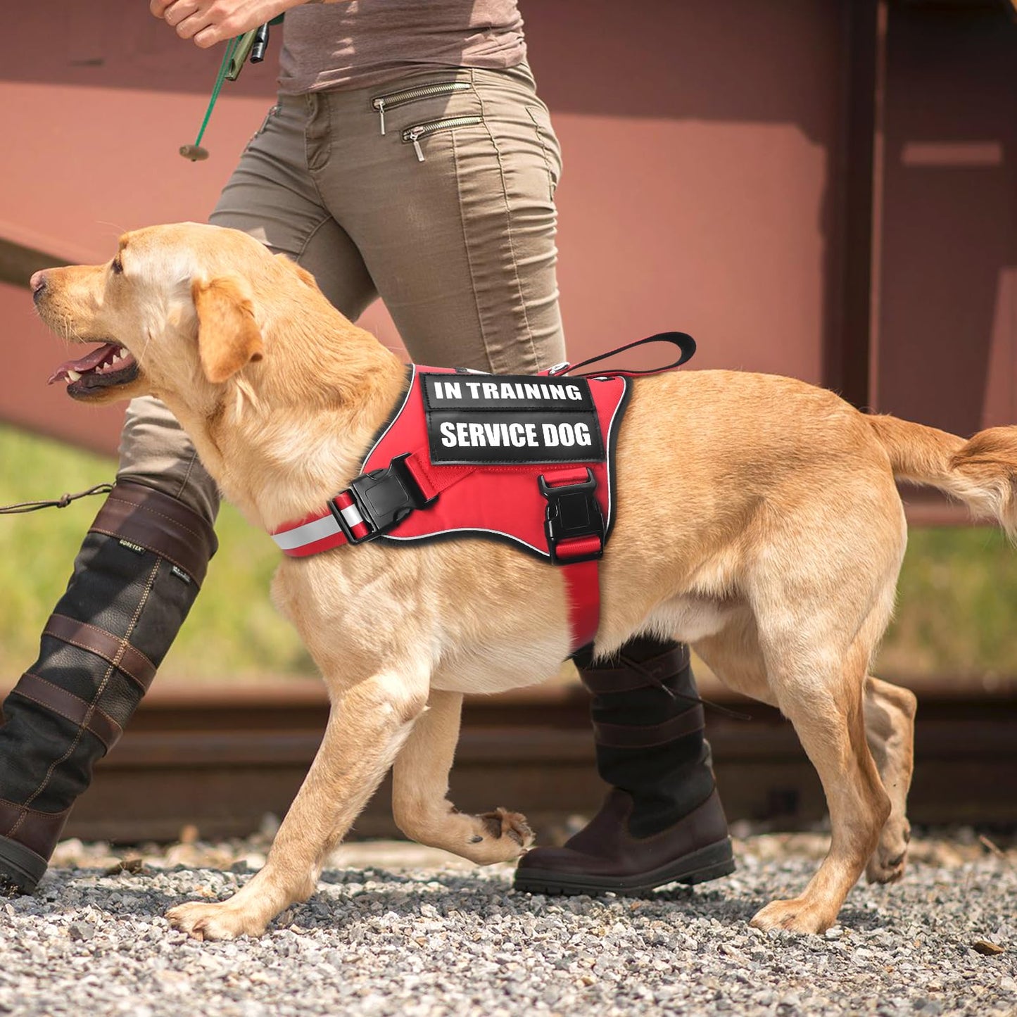 MOOGROU Service Dog Vest Harness and Leash Set+10 Patches,No Pull&Adjustable Reflective Dog Harness with Soft Padded Handle for Training/Everyday,Fit Small/Medium/Large/Extra-Large Dogs (Red S)