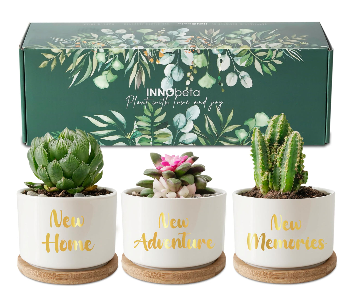 InnoBeta House Warming Gifts Succulent Plant Pots 3pcs, Gifts for House Warming, Planter Pot with Bamboo Tray for New Home, Plants NOT Included