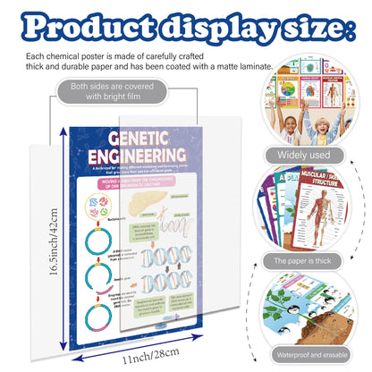 Sruchy 18 Biology Posters for Classroom, 11x17in Botany Human Life Science Educational Posters for Homeschool and Classroom Decor - Clinic Office, Home Washroom, Biology Lab, Teaching Gifts
