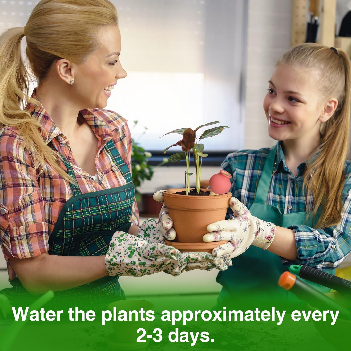 meiyimaoyi 8Pcs Terracotta Self Watering Devices Premium Self Ceramic,Automatic Watering Water Seepage Device for Vacation Care,Garden/Office/Outdoor/Indoor Plant Decoration