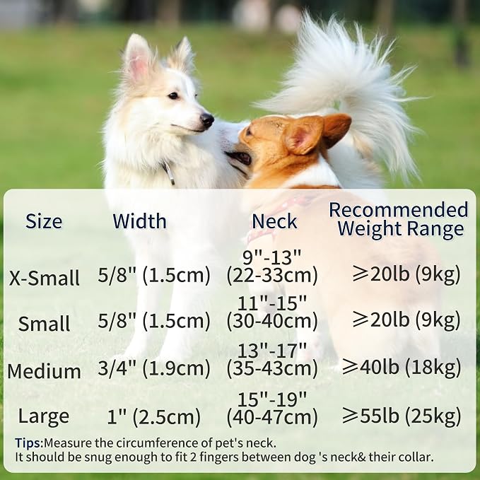 Mile High Life Genuine Leather Dog Collar, Durable Braided Cotton Rope Collar with Metal Pin Buckle for Small Medium Large Dogs (Beige, S Neck 11"-15")