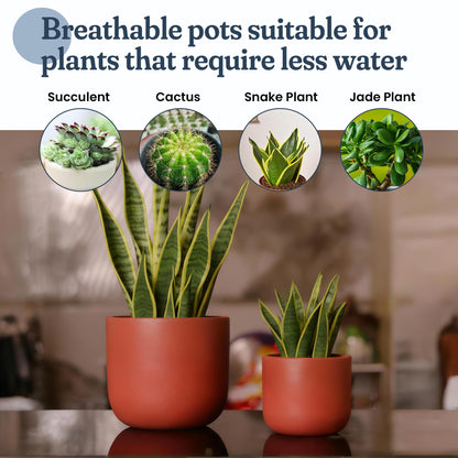 FINE Living 4 & 6 Inch Terracotta Pots for Plants, Set of 2, Ceramic Planter Clay Pots, Succulent Planter Pots with Drainage Hole and Mesh Net for Gifts, DIY Craft, Garden & Home Decor