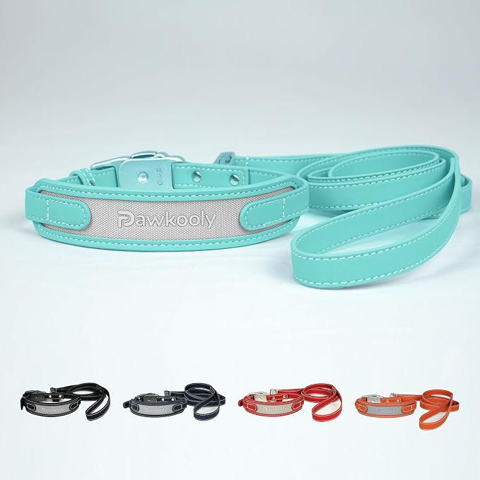 MagEase Dog Collar with 4FT Leash | Adjustable | Anti-Wrinkle, Bite & Stain-Resistant Leather | Soft & Skin-Friendly | 450LB Escape-Proof Magnetic Buckle (Light Blue, Medium)