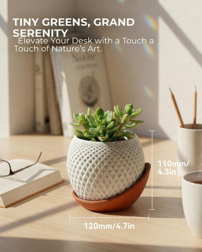 CODIAO Small Plant Pots Indoor with Drainage & Saucer (4 Inch) - Cute 3D Printed Geometric Planter - Modern White Pot for Succulents Cactus - Unique Desk Decor & Gardening Gift (Terra Cotta Base)