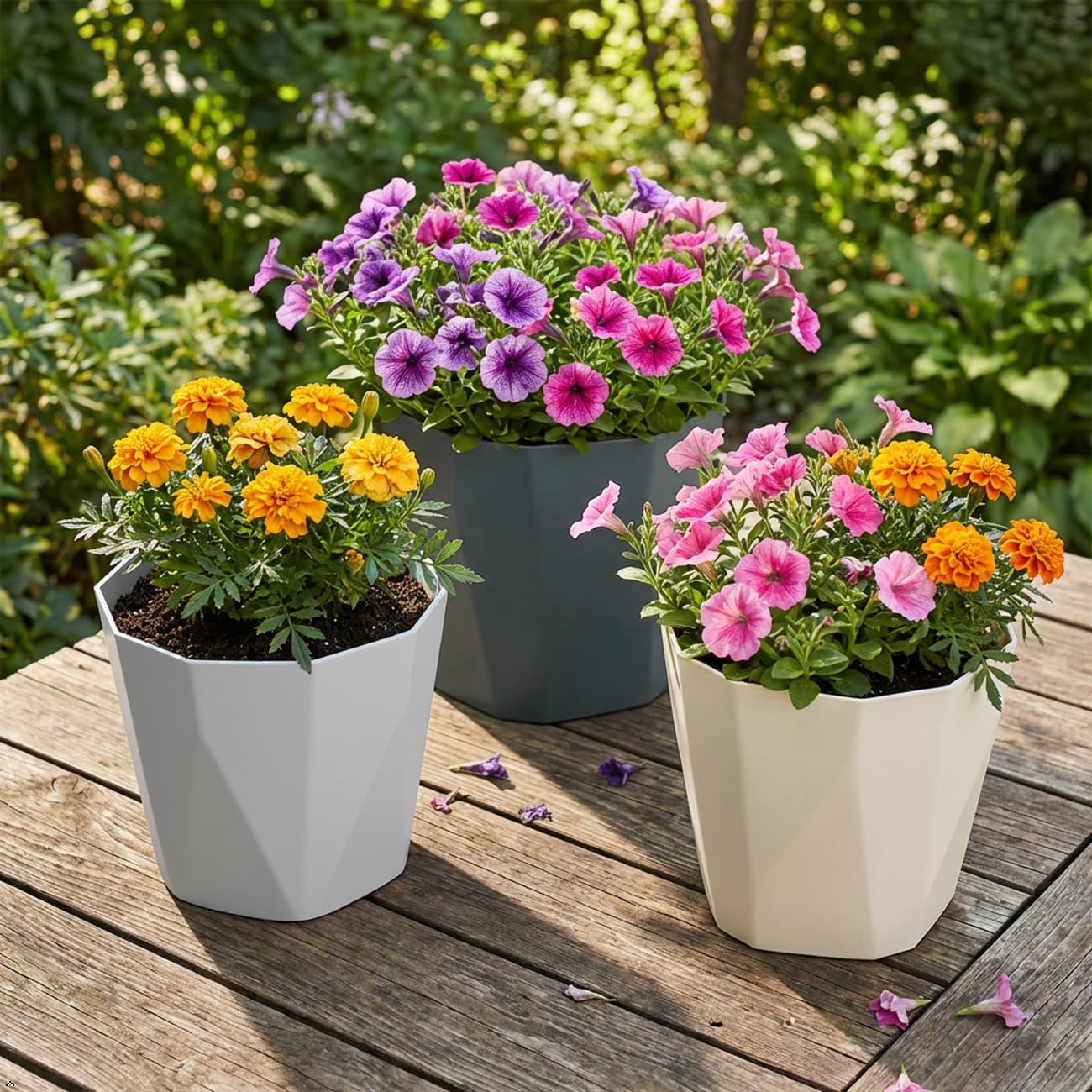 JPORSHU Plant Pots 6.3 inch 3 Pack Indoor Plastic Flower Pots，with Drainage Holes and Saucers Plastic Flower Pot Set Indoor Outdoor for Garden (Medium)