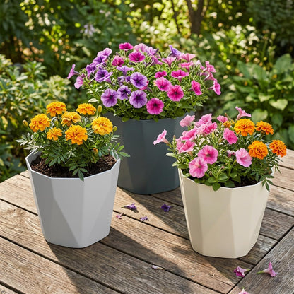 JPORSHU Plant Pots 6.3 inch 3 Pack Indoor Plastic Flower Pots，with Drainage Holes and Saucers Plastic Flower Pot Set Indoor Outdoor for Garden (Medium)