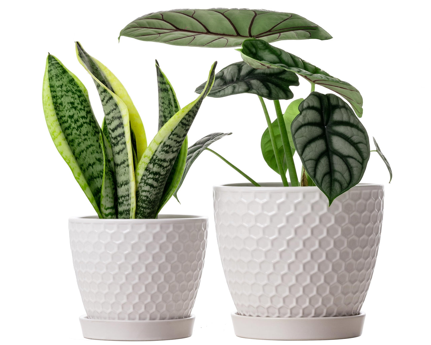 Docrin Ceramic Plant Pots Set of 2 (6.6"+5.5"), High-Fired Clay Indoor Planters with Drainage Holes & Saucer, Honeycomb Modern Home Decor for All House Plants