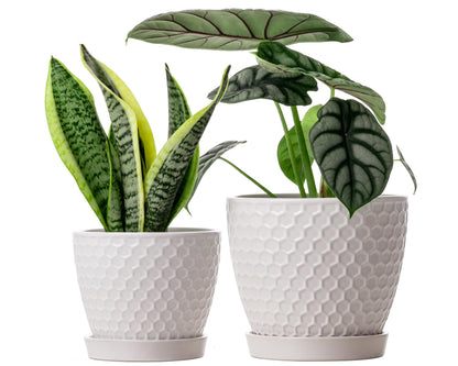 Docrin Ceramic Plant Pots Set of 2 (6.6"+5.5"), High-Fired Clay Indoor Planters with Drainage Holes & Saucer, Honeycomb Modern Home Decor for All House Plants