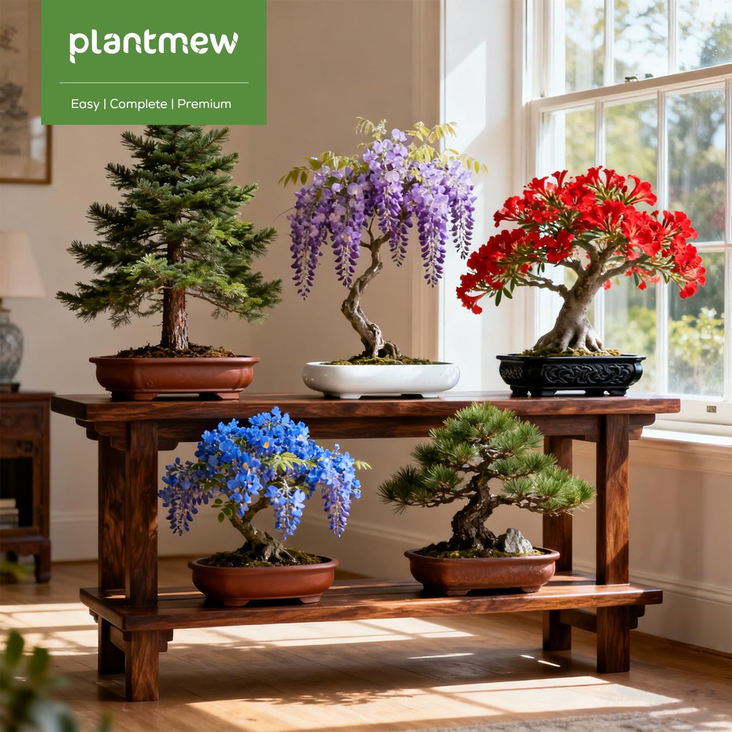 Bonsai Starter Kit for Adults – Complete Indoor Tree Growing Set with Jacaranda Seeds, Tools & Planter | DIY Gardening Hobby Kits for Plant Lovers, Unique Easter Gifts for Men & Women