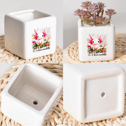 BJDAMAI Axolotl Succulent Planter Flower Plant Pot Small, Gifts for Women Teens Girls Kids, Axolotl Lovers Themed Stuff Accessories Things Decor Merch, Home Office Table Desk Decoration!